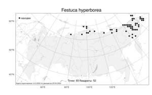 Festuca hyperborea, Овсяница северная Holmen, Атлас флоры России (FLORUS) (Россия)