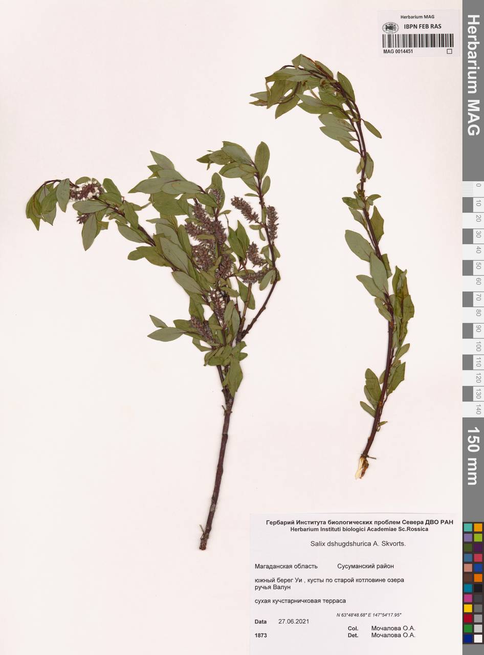 Gallery image 0