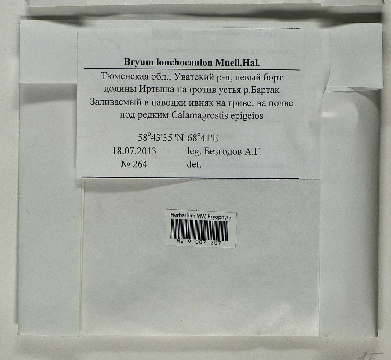 Ptychostomum lonchocaulon (Müll. Hal.) J.R. Spence, Гербарий мохообразных, Мхи - Западная Сибирь (включая Алтай) (B15) (Россия)