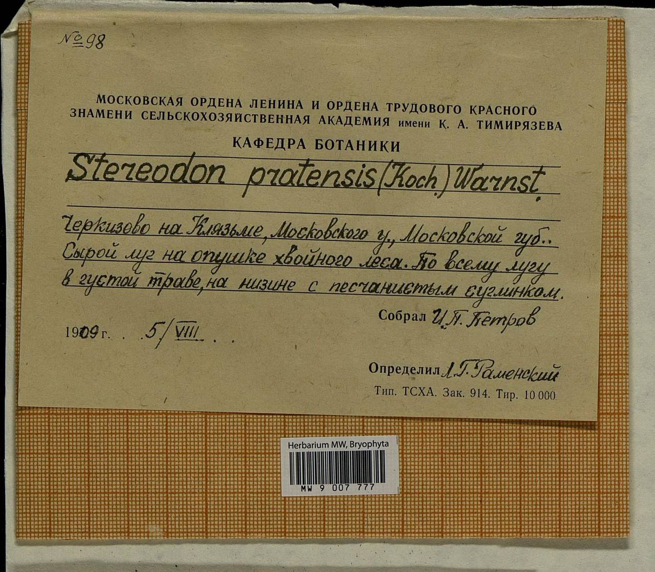 Stereodon pratensis (W.D.J. Koch ex Spruce) Warnst., Гербарий мохообразных, Мхи - Москва и Московская область (B6a) (Россия)