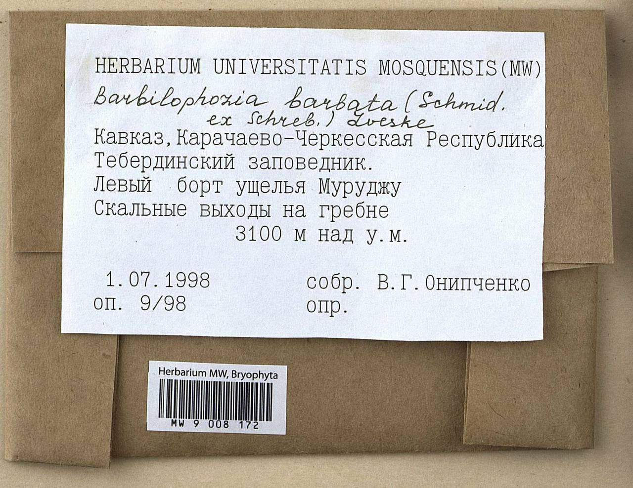 Barbilophozia barbata (Schmidel ex Schreb.) Loeske, Гербарий мохообразных, Мхи - Северный Кавказ и Предкавказье (B12) (Россия)