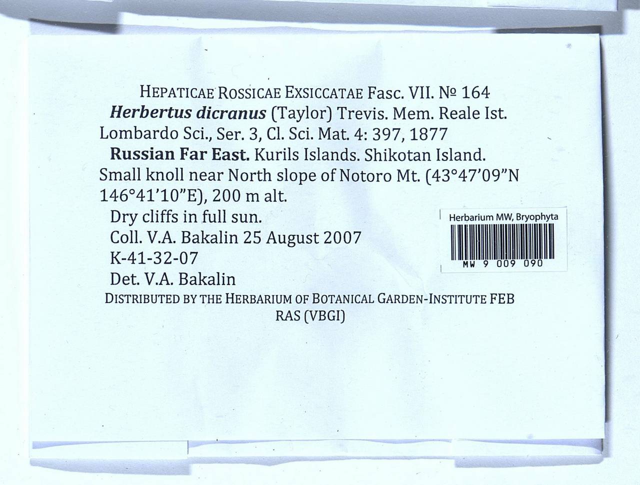 Herbertus dicranus (Taylor) Trevis., Гербарий мохообразных, Мхи - Дальний Восток (без Чукотки и Камчатки) (B20) (Россия)