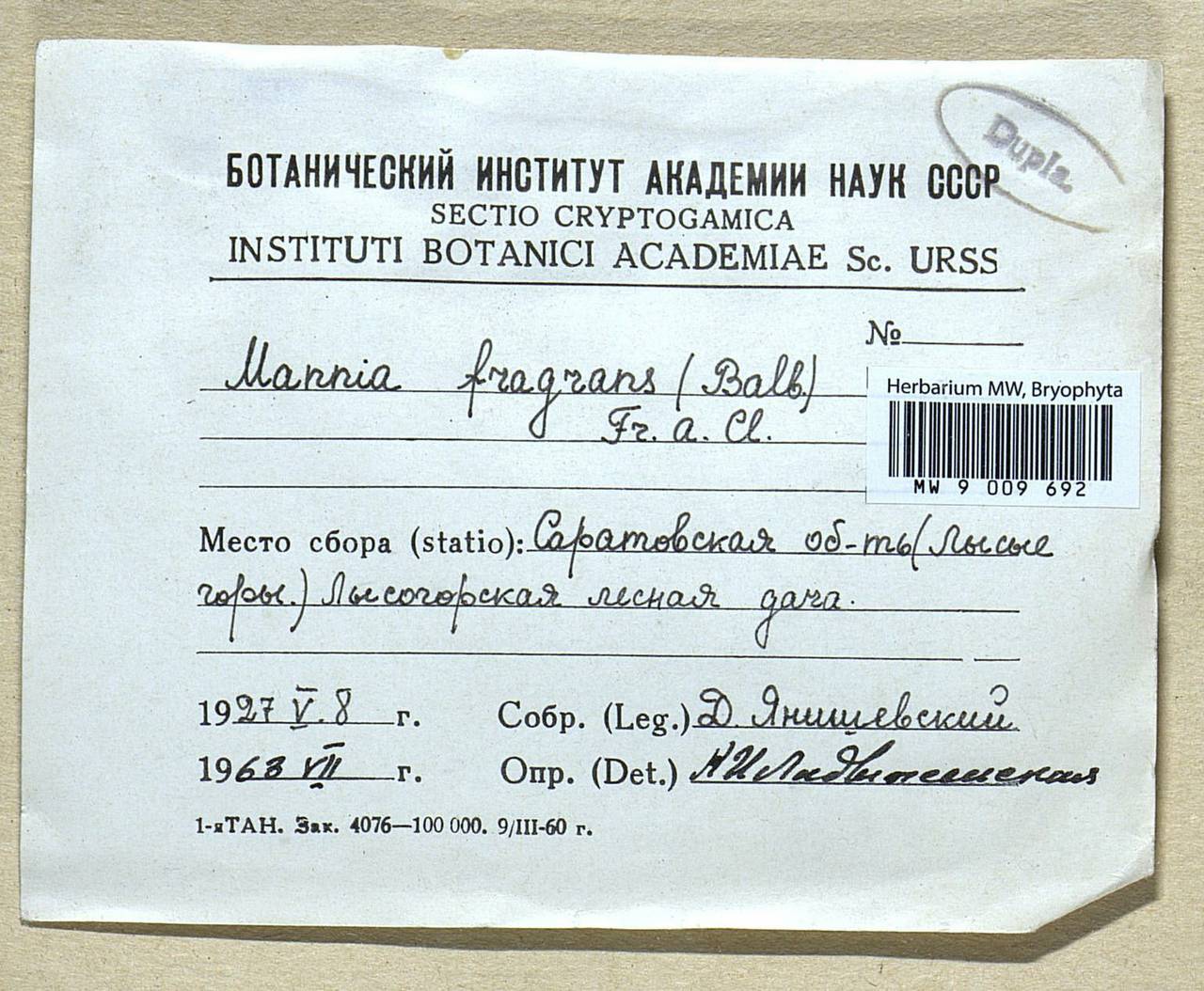 Mannia fragrans (Balb.) Frye & L. Clark, Гербарий мохообразных, Мхи - Среднее Поволжье (B9) (Россия)