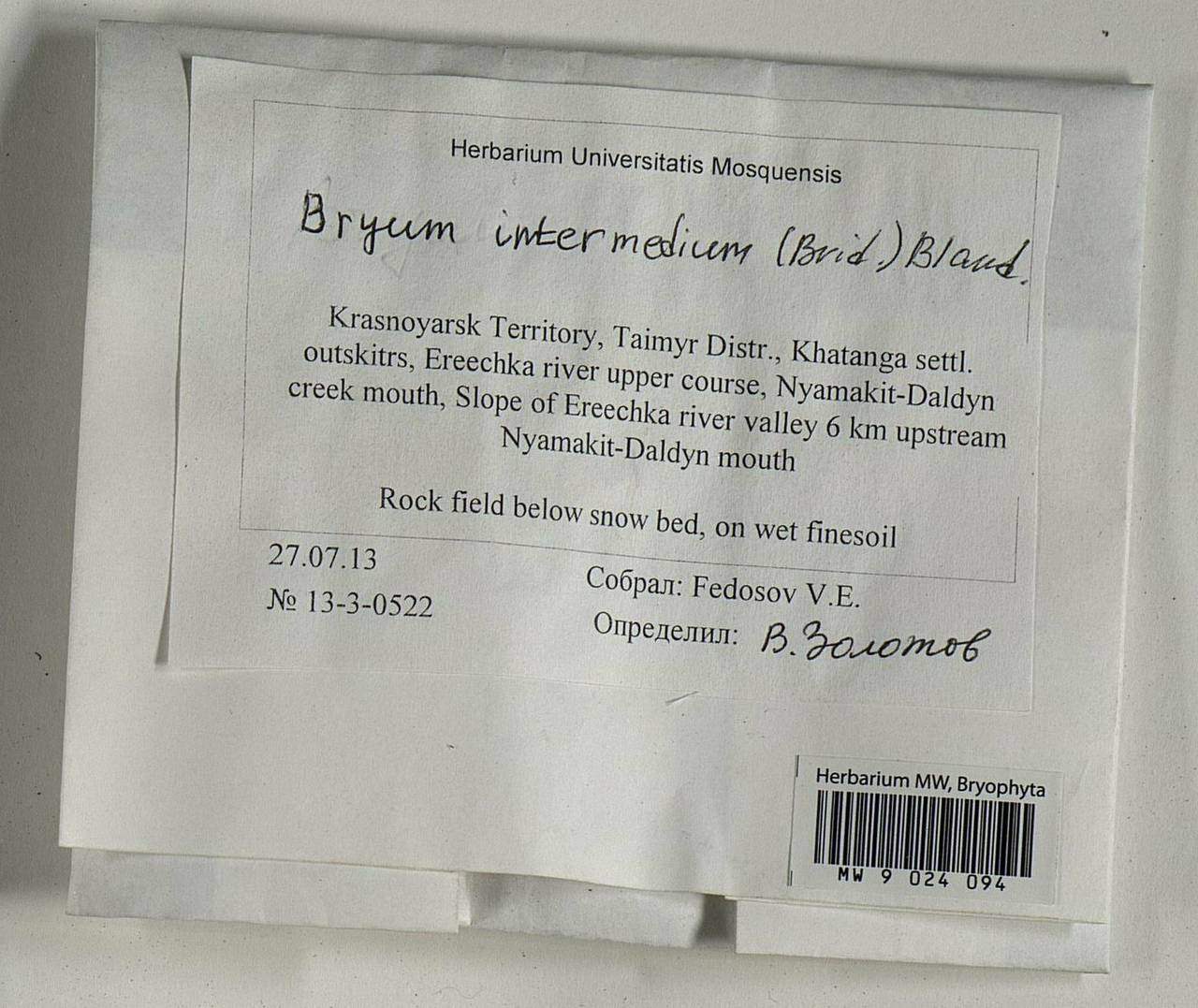 Ptychostomum intermedium (Brid.) J.R. Spence, Гербарий мохообразных, Мхи - Красноярский край, Тыва и Хакасия (B17) (Россия)