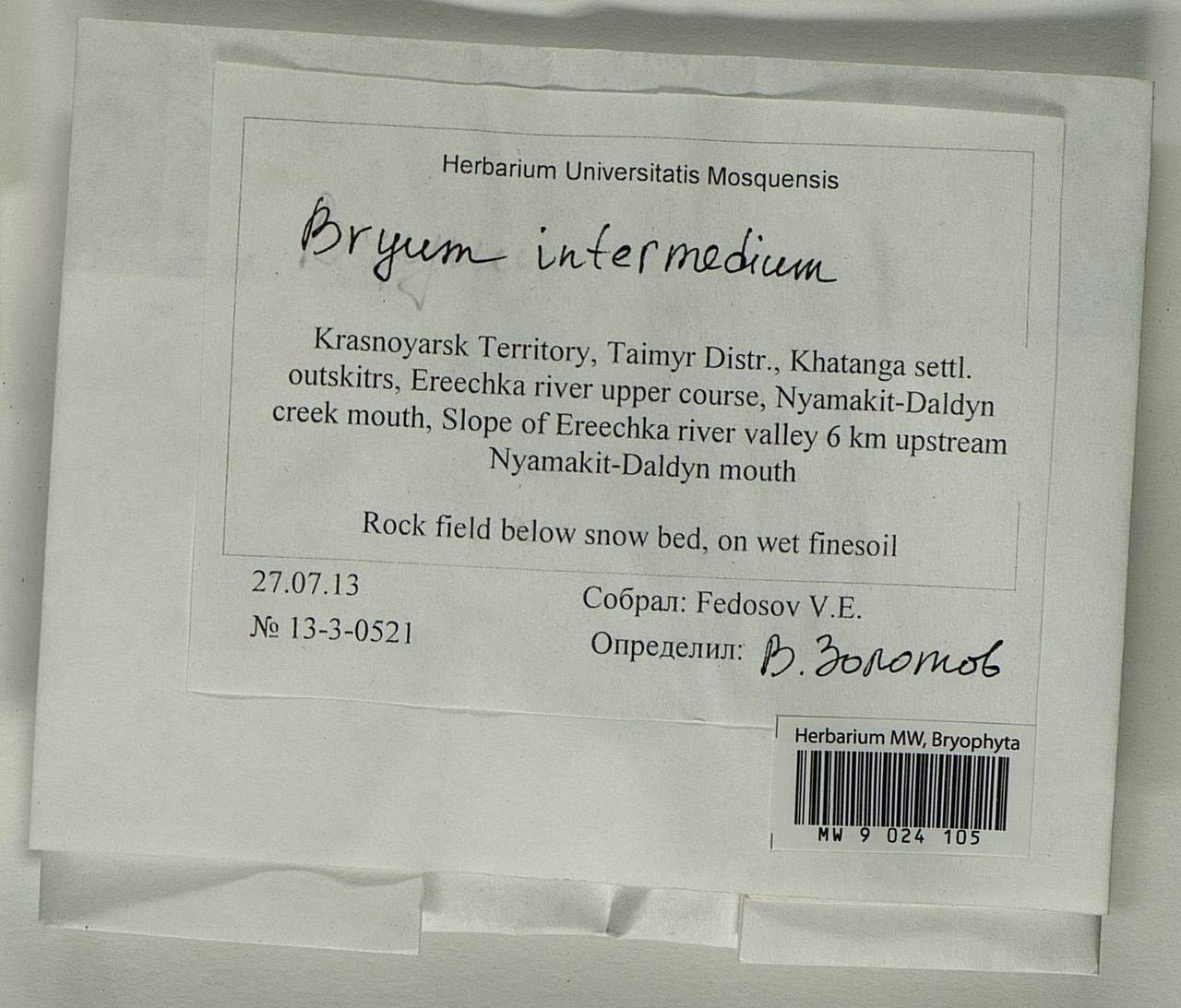 Ptychostomum intermedium (Brid.) J.R. Spence, Гербарий мохообразных, Мхи - Красноярский край, Тыва и Хакасия (B17) (Россия)