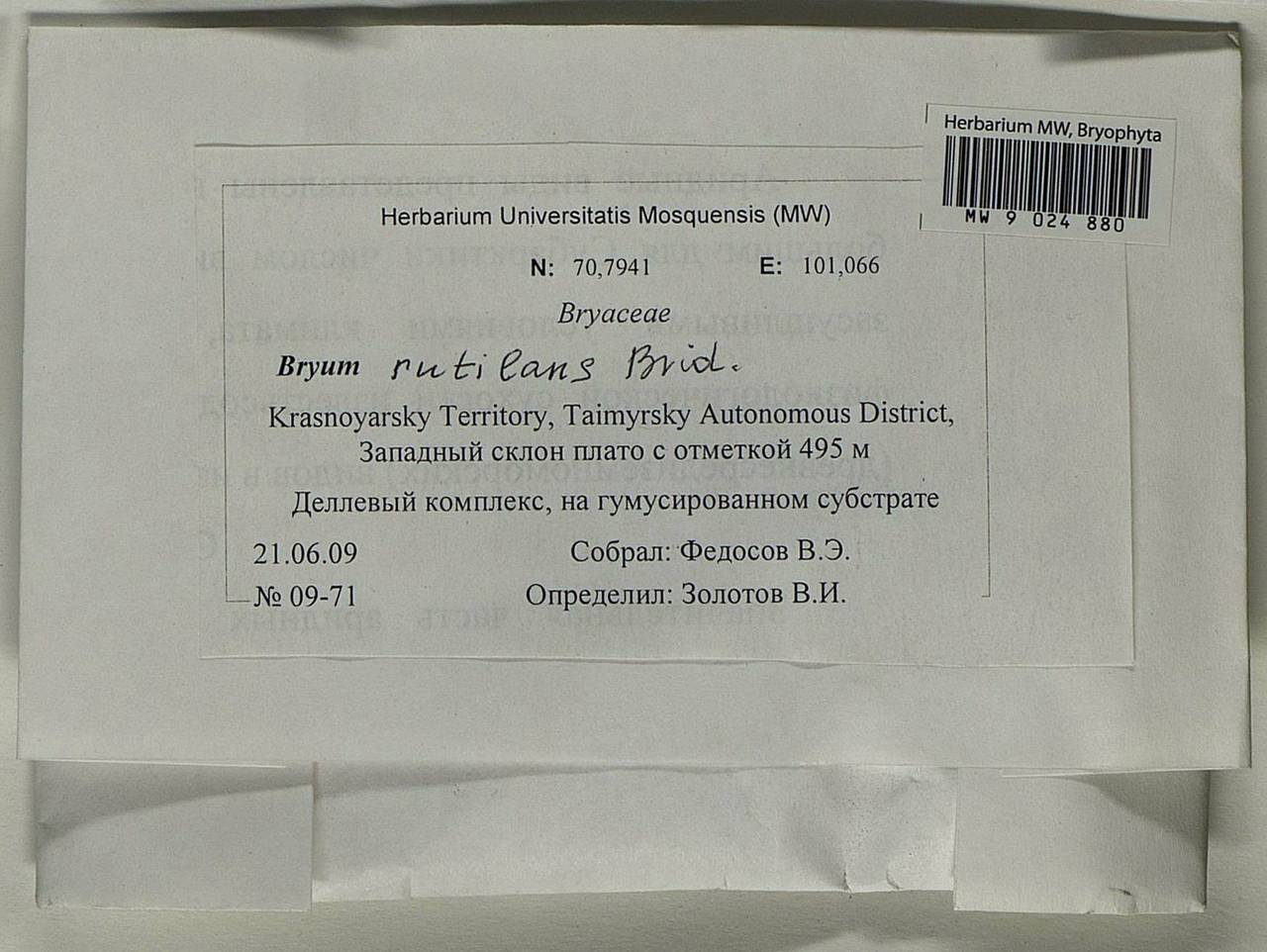 Ptychostomum rutilans (Brid.) J.R. Spence, Гербарий мохообразных, Мхи - Красноярский край, Тыва и Хакасия (B17) (Россия)