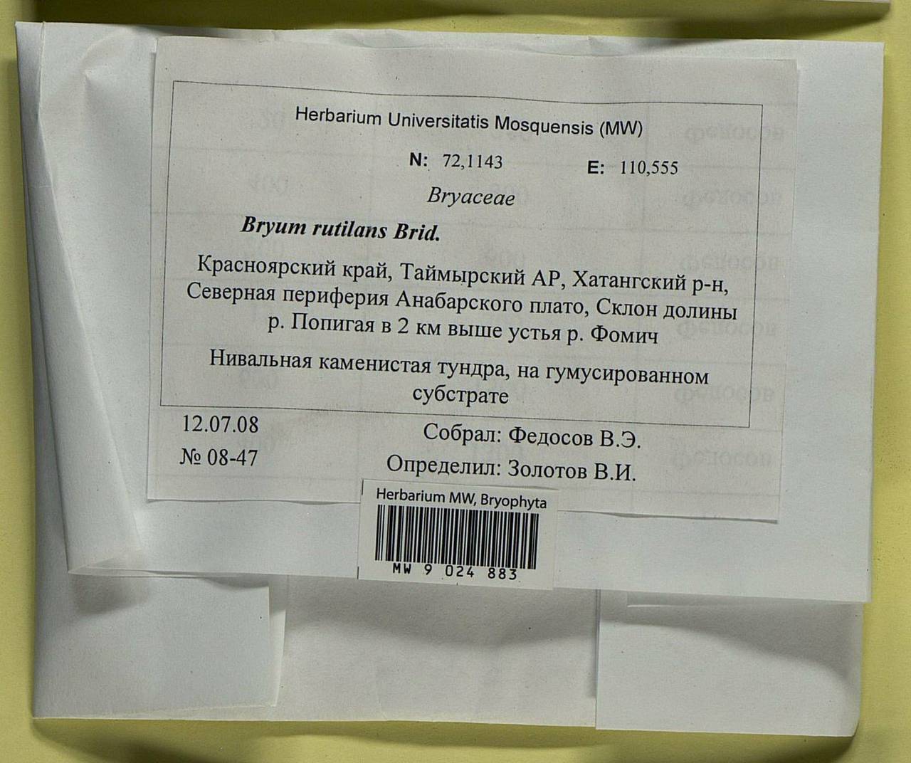 Ptychostomum rutilans (Brid.) J.R. Spence, Гербарий мохообразных, Мхи - Красноярский край, Тыва и Хакасия (B17) (Россия)