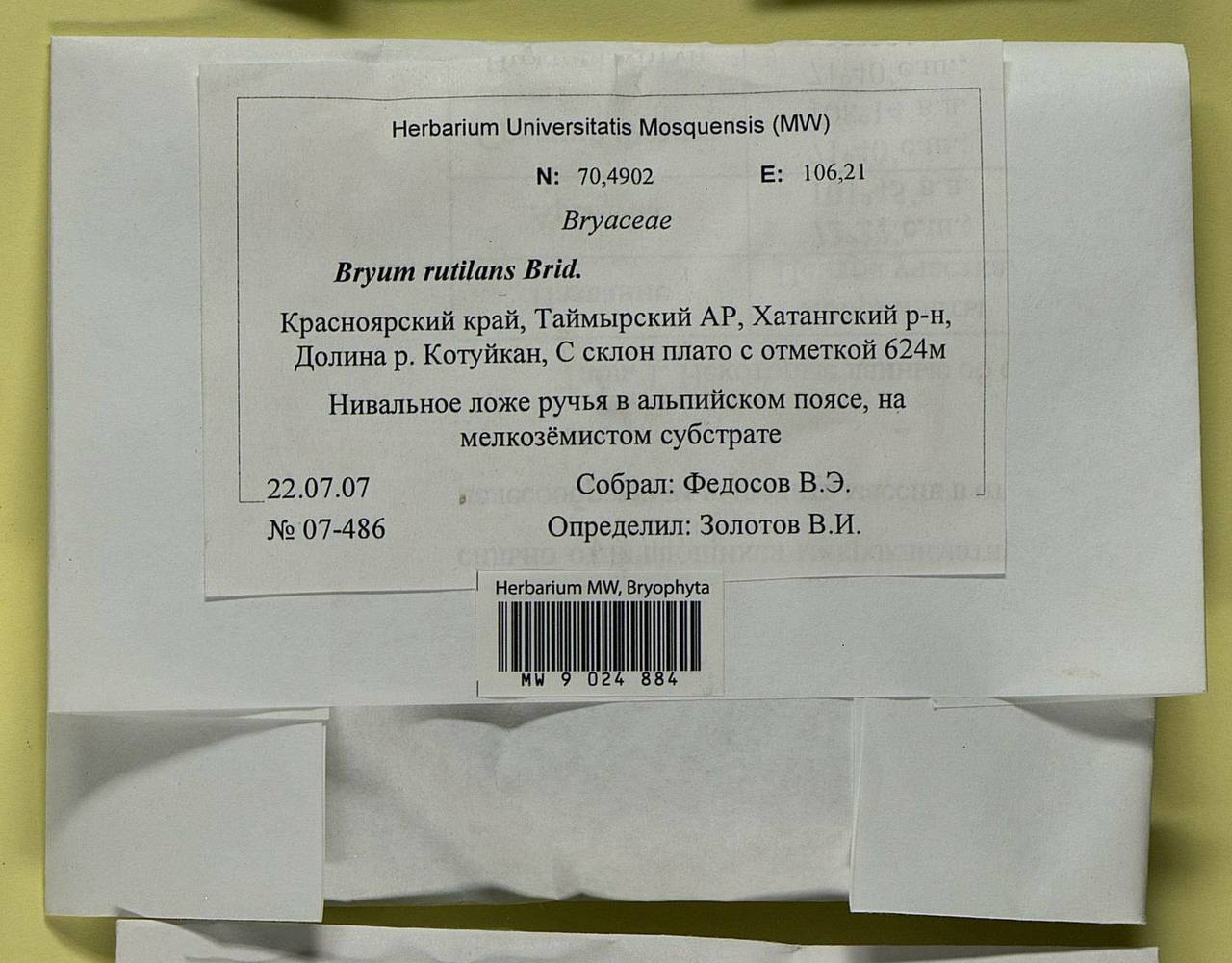 Ptychostomum rutilans (Brid.) J.R. Spence, Гербарий мохообразных, Мхи - Красноярский край, Тыва и Хакасия (B17) (Россия)