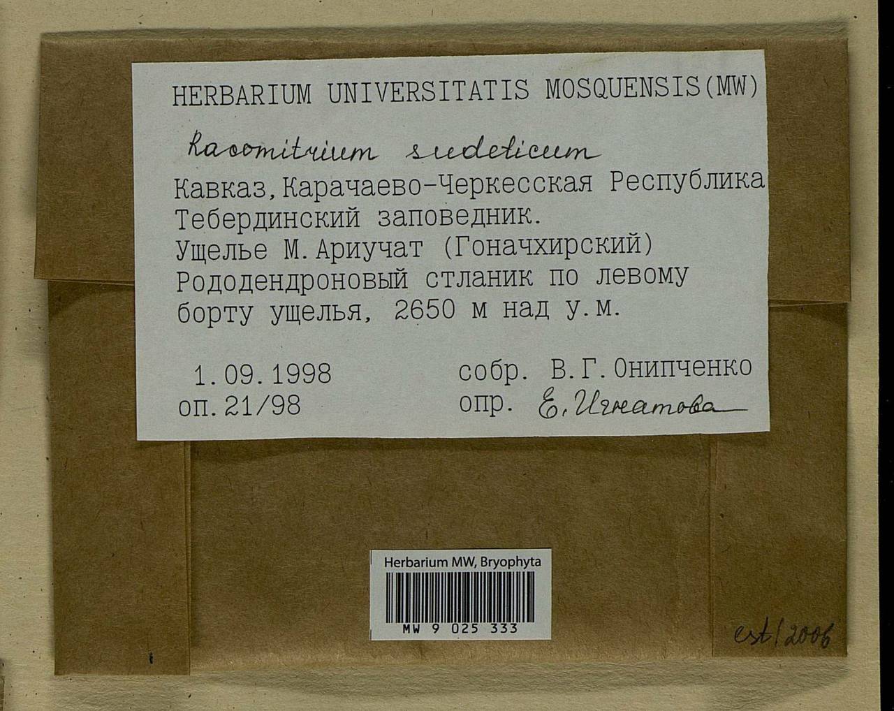 Bucklandiella sudetica (Funck) Bedn.-Ochyra & Ochyra, Гербарий мохообразных, Мхи - Северный Кавказ и Предкавказье (B12) (Россия)