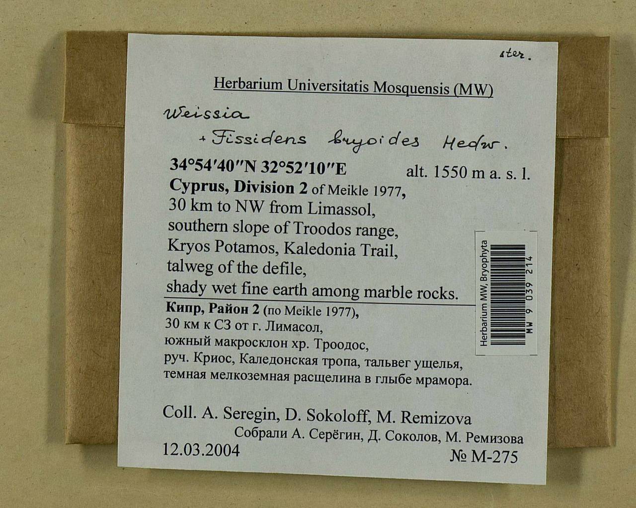 Fissidens bryoides Hedw., Гербарий мохообразных, Мхи - Азия (вне границ бывшего СССР) (BAs) (Кипр)