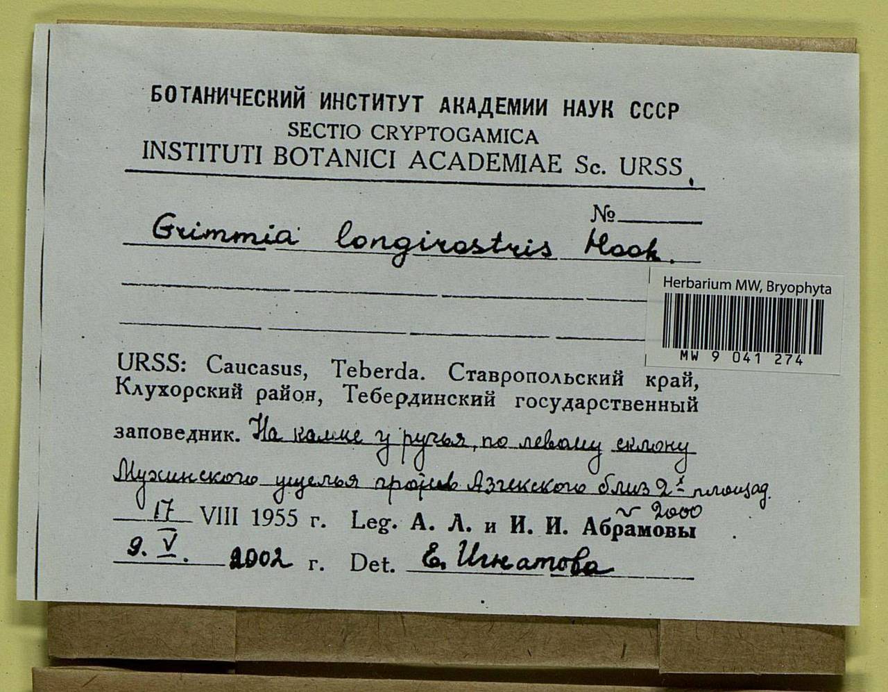 Grimmia longirostris Hook., Гербарий мохообразных, Мхи - Северный Кавказ и Предкавказье (B12) (Россия)