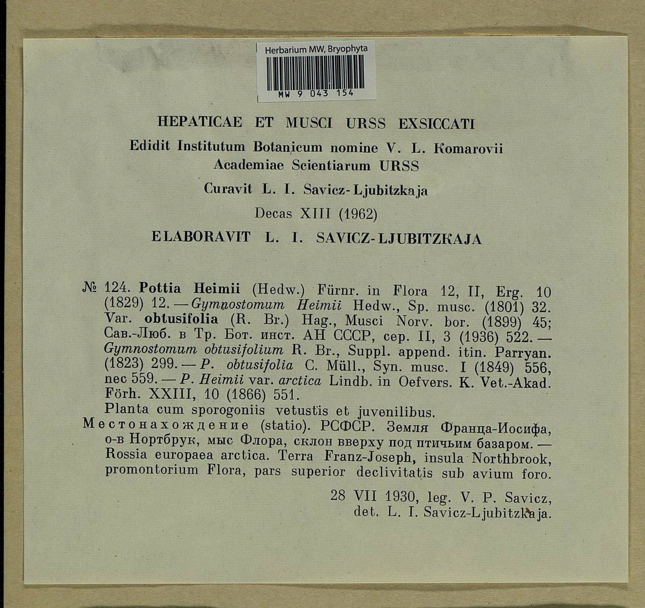 Hennediella heimii (Hedw.) R.H. Zander, Гербарий мохообразных, Мхи - Архангельская и Вологодская области, Коми, Ненецкий АО (B7) (Россия)
