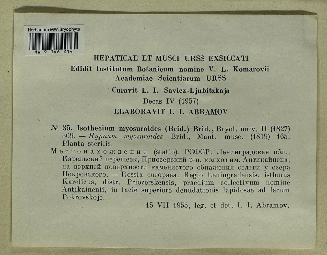 Pseudisothecium myosuroides (Brid.) Grout, Гербарий мохообразных, Мхи - Карелия, Ленинградская и Мурманская области (B4) (Россия)