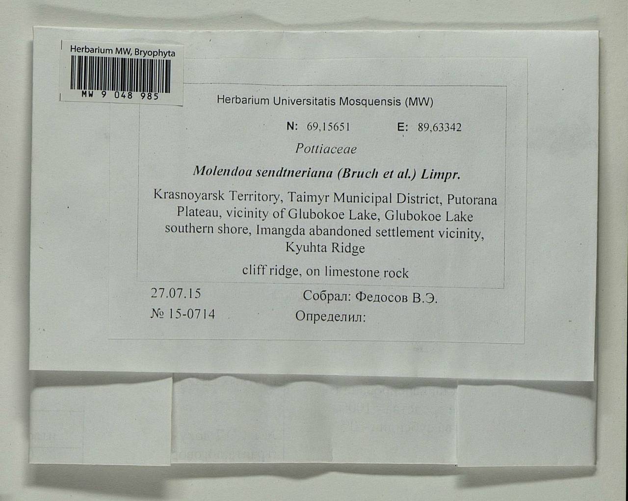 Molendoa sendtneriana (Bruch & Schimp.) Limpr., Гербарий мохообразных, Мхи - Красноярский край, Тыва и Хакасия (B17) (Россия)