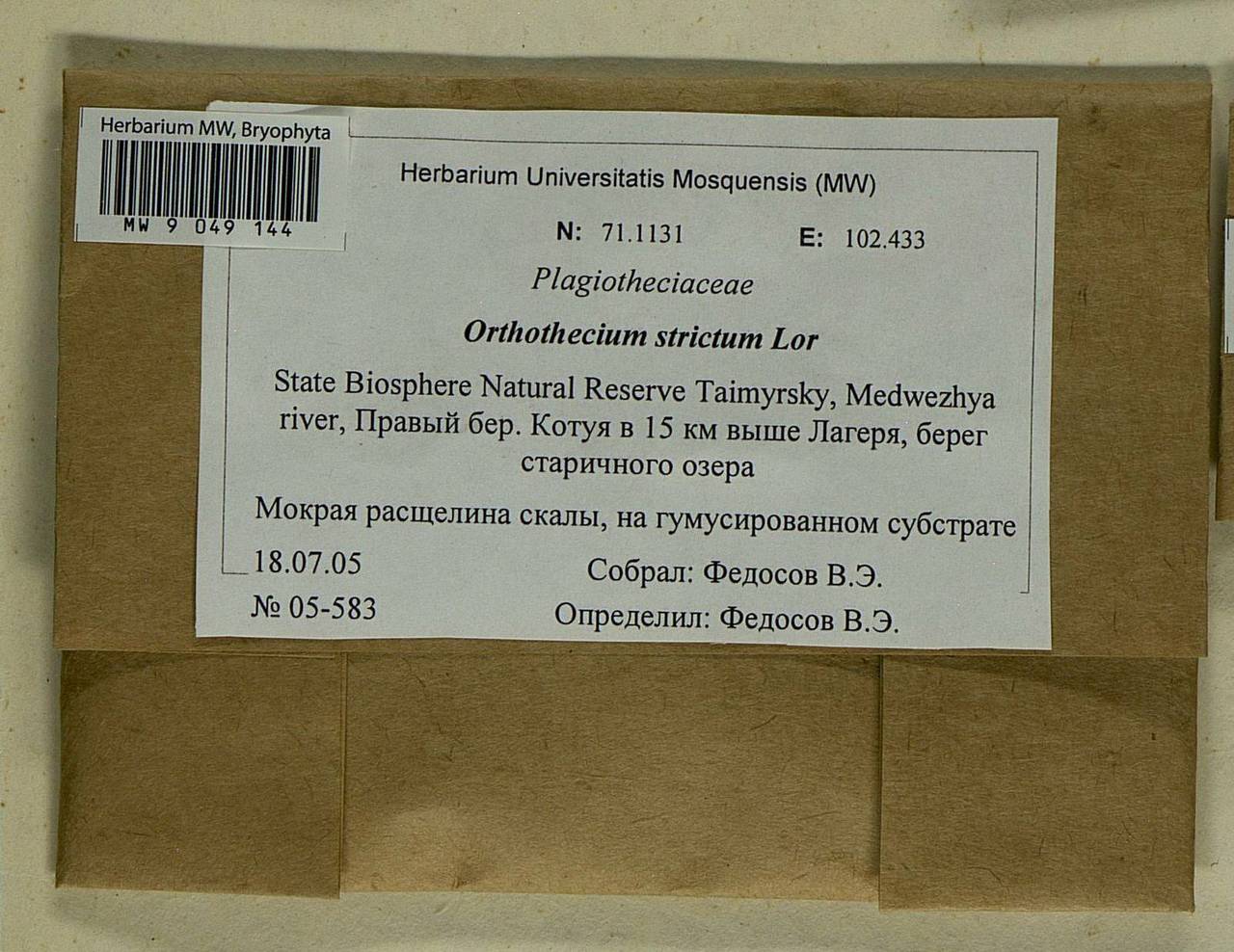 Orthothecium strictum Lorentz, Гербарий мохообразных, Мхи - Красноярский край, Тыва и Хакасия (B17) (Россия)