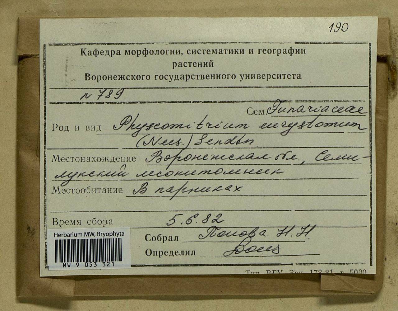 Physcomitrium eurystomum Sendtn., Гербарий мохообразных, Мхи - Центральное Черноземье (B10) (Россия)