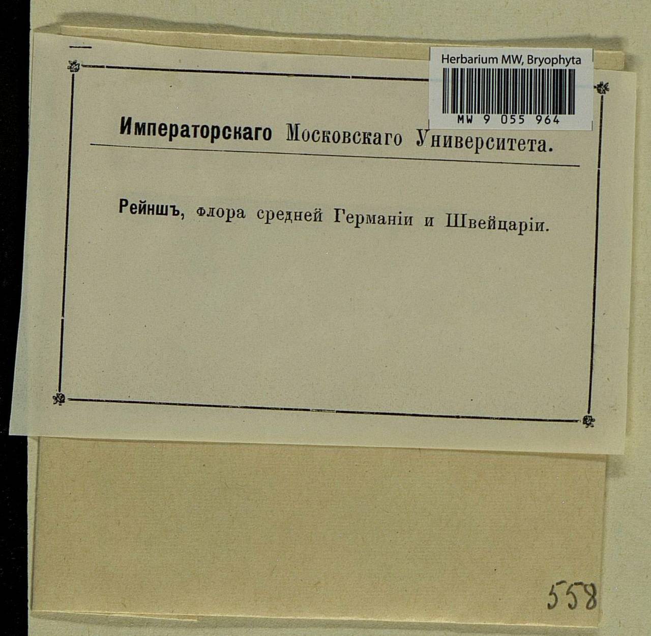 Pleurozium schreberi (Willd. ex Brid.) Mitt., Гербарий мохообразных, Мхи - Западная Европа (BEu) (Неизвестно)