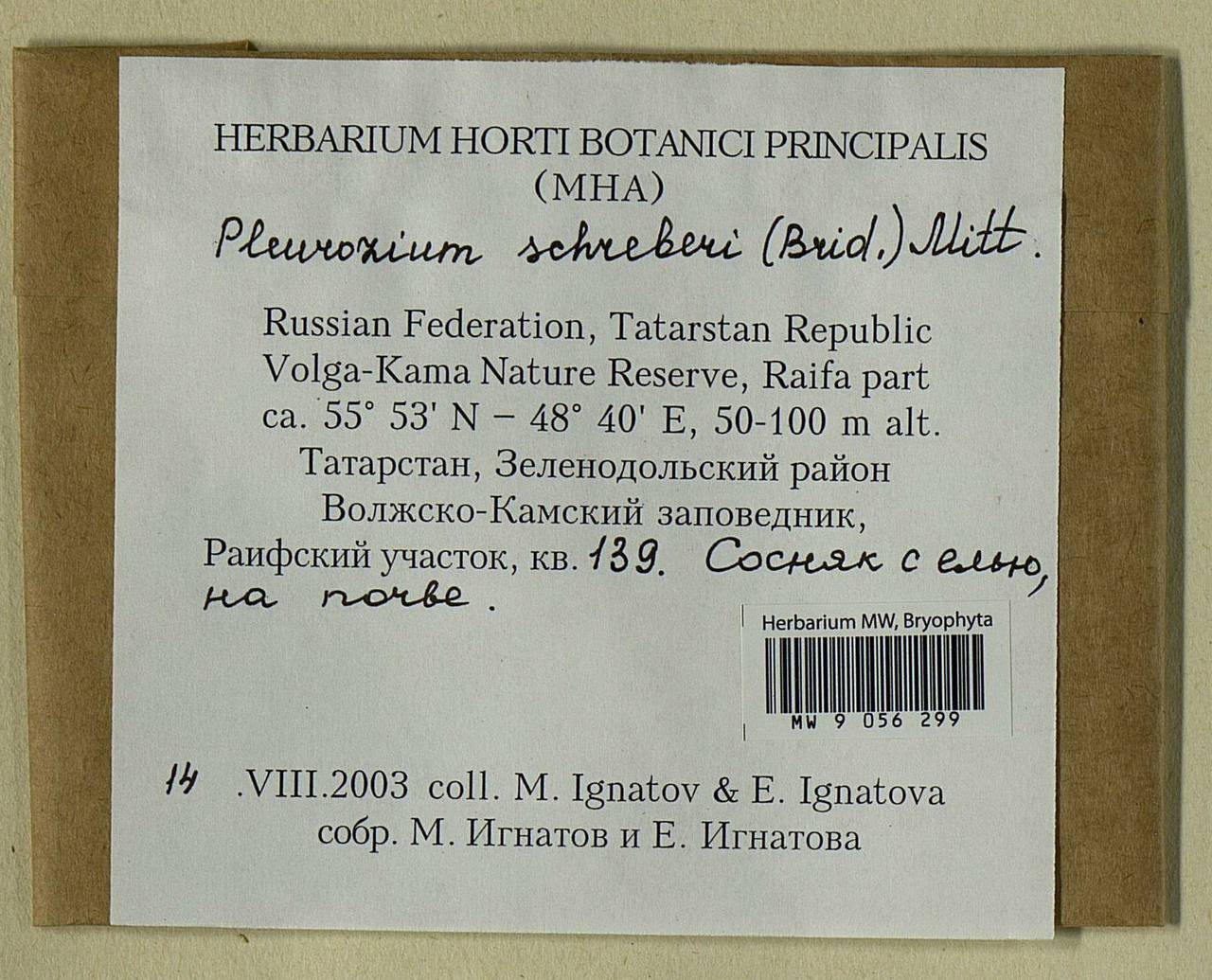 Pleurozium schreberi (Willd. ex Brid.) Mitt., Гербарий мохообразных, Мхи - Среднее Поволжье (B9) (Россия)