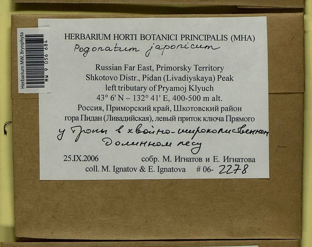 Pogonatum japonicum Sull. & Lesq., Гербарий мохообразных, Мхи - Дальний Восток (без Чукотки и Камчатки) (B20) (Россия)