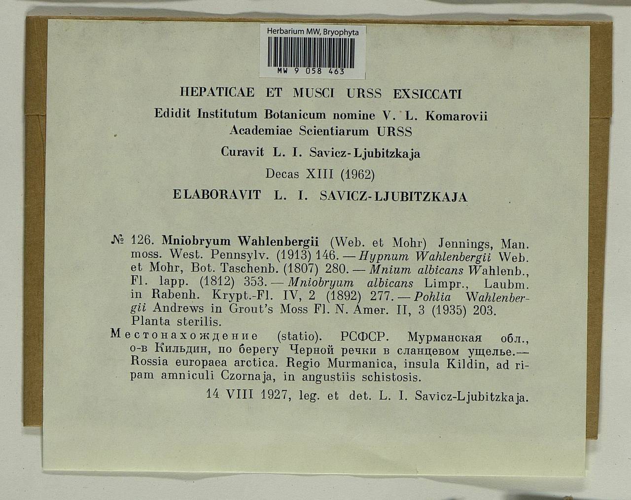 Pohlia wahlenbergii (F. Weber & D. Mohr) A.L. Andrews, Гербарий мохообразных, Мхи - Карелия, Ленинградская и Мурманская области (B4) (Россия)