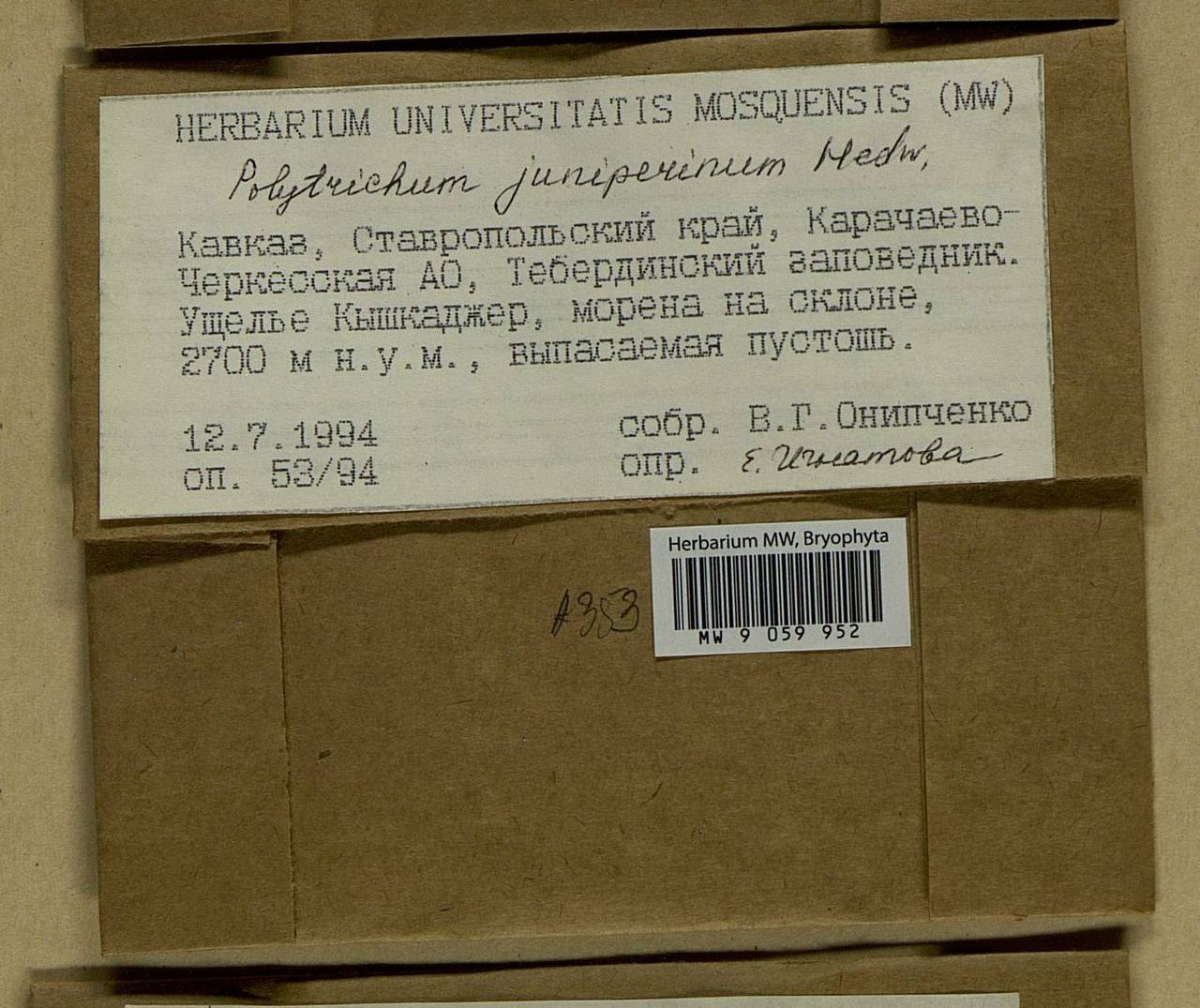 Polytrichum juniperinum Hedw., Гербарий мохообразных, Мхи - Северный Кавказ и Предкавказье (B12) (Россия)