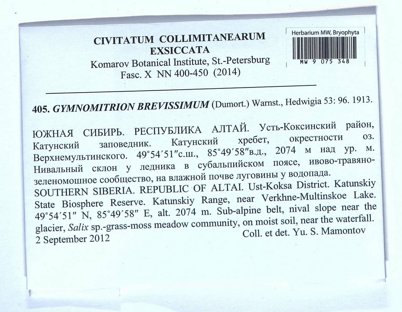 Gymnomitrion brevissimum (Dumort.) Warnst., Гербарий мохообразных, Мхи - Западная Сибирь (включая Алтай) (B15) (Россия)