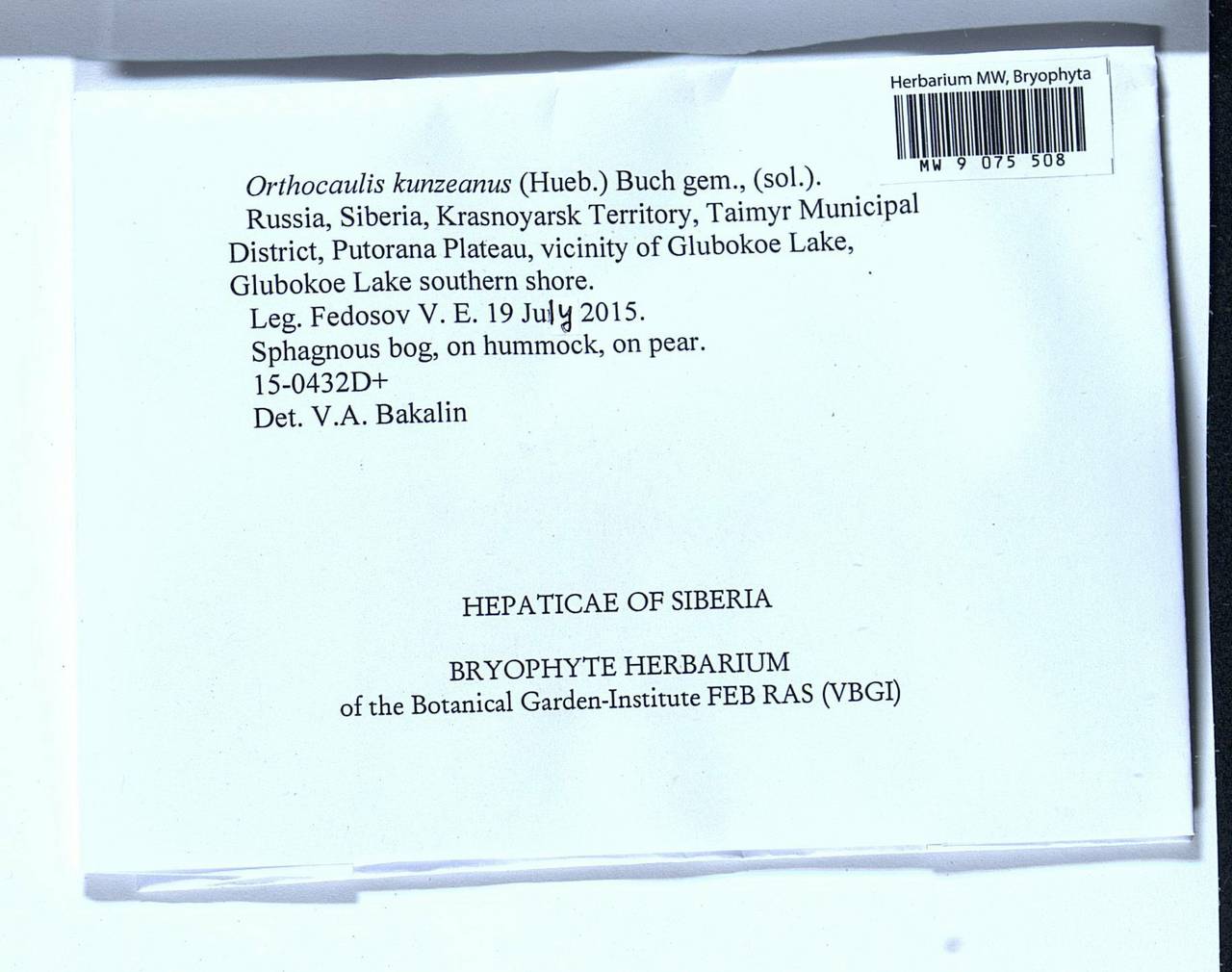 Schljakovia kunzeana (Huebener) Konstant. & Vilnet, Гербарий мохообразных, Мхи - Красноярский край, Тыва и Хакасия (B17) (Россия)