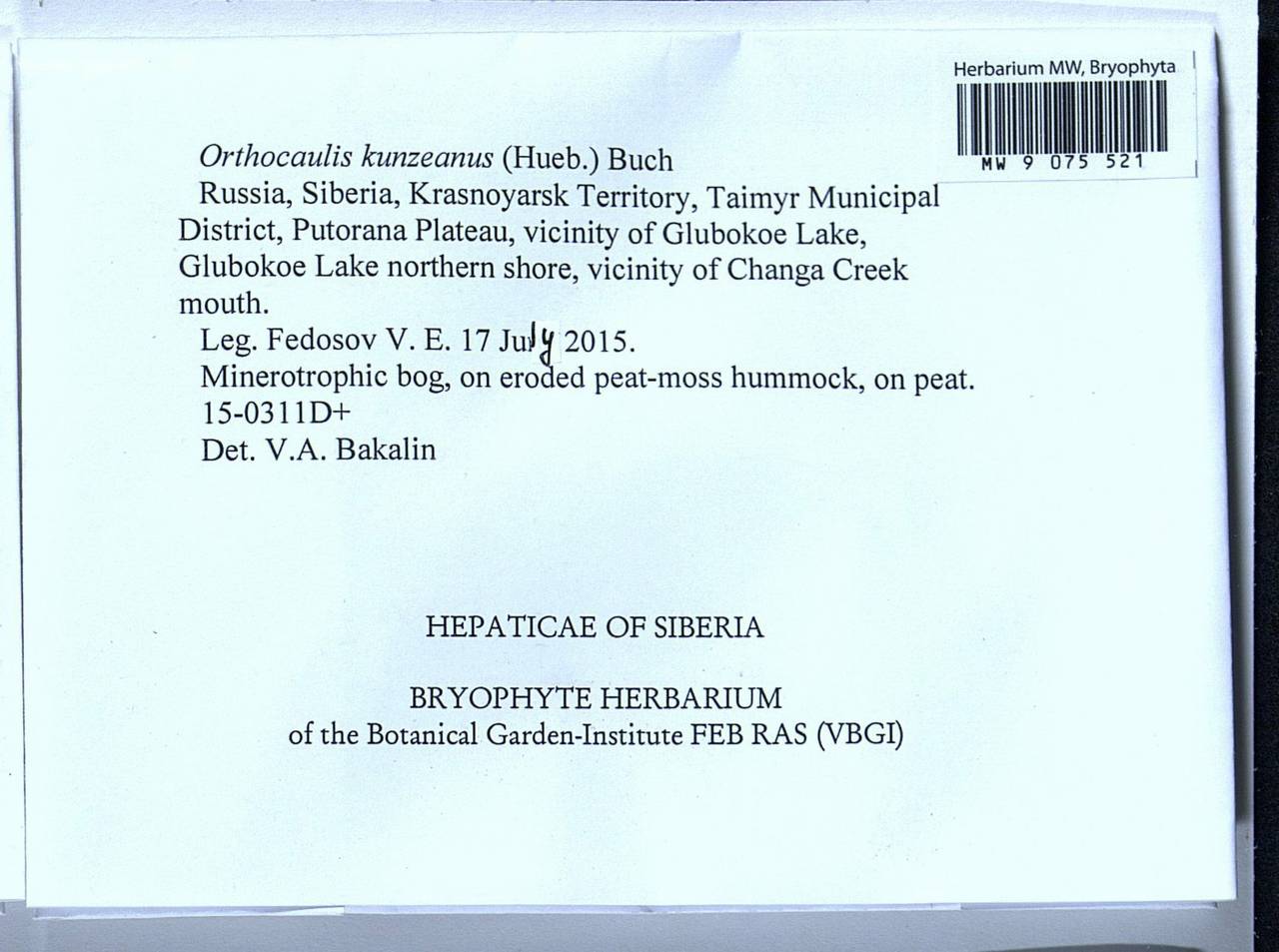 Schljakovia kunzeana (Huebener) Konstant. & Vilnet, Гербарий мохообразных, Мхи - Красноярский край, Тыва и Хакасия (B17) (Россия)