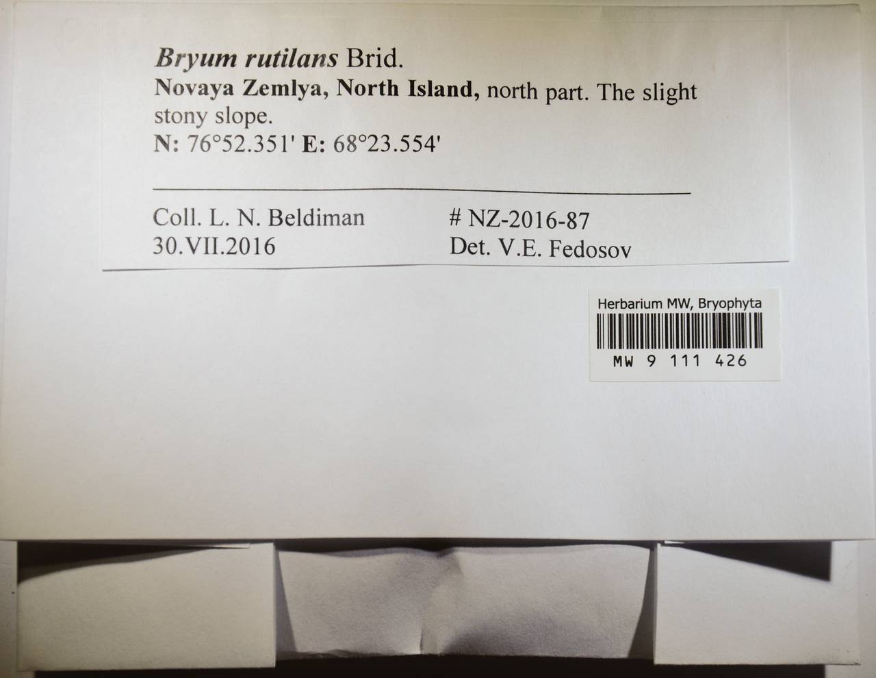 MW 9 111 426, Ptychostomum rutilans (Brid.) J.R. Spence, Гербарий мохообразных, Мхи - Архангельская и Вологодская области, Коми, Ненецкий АО (B7) (Россия)