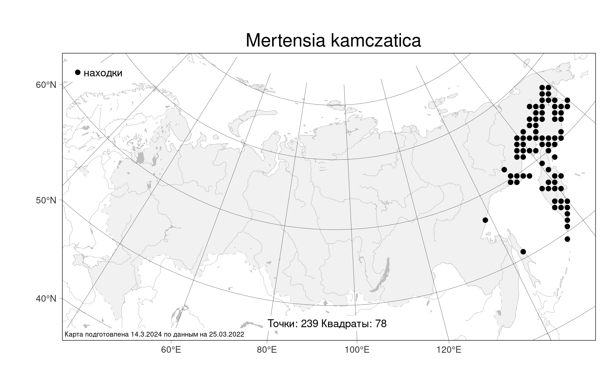 MW0162566, Mertensia pubescens (Мертензия опушенная), specimen