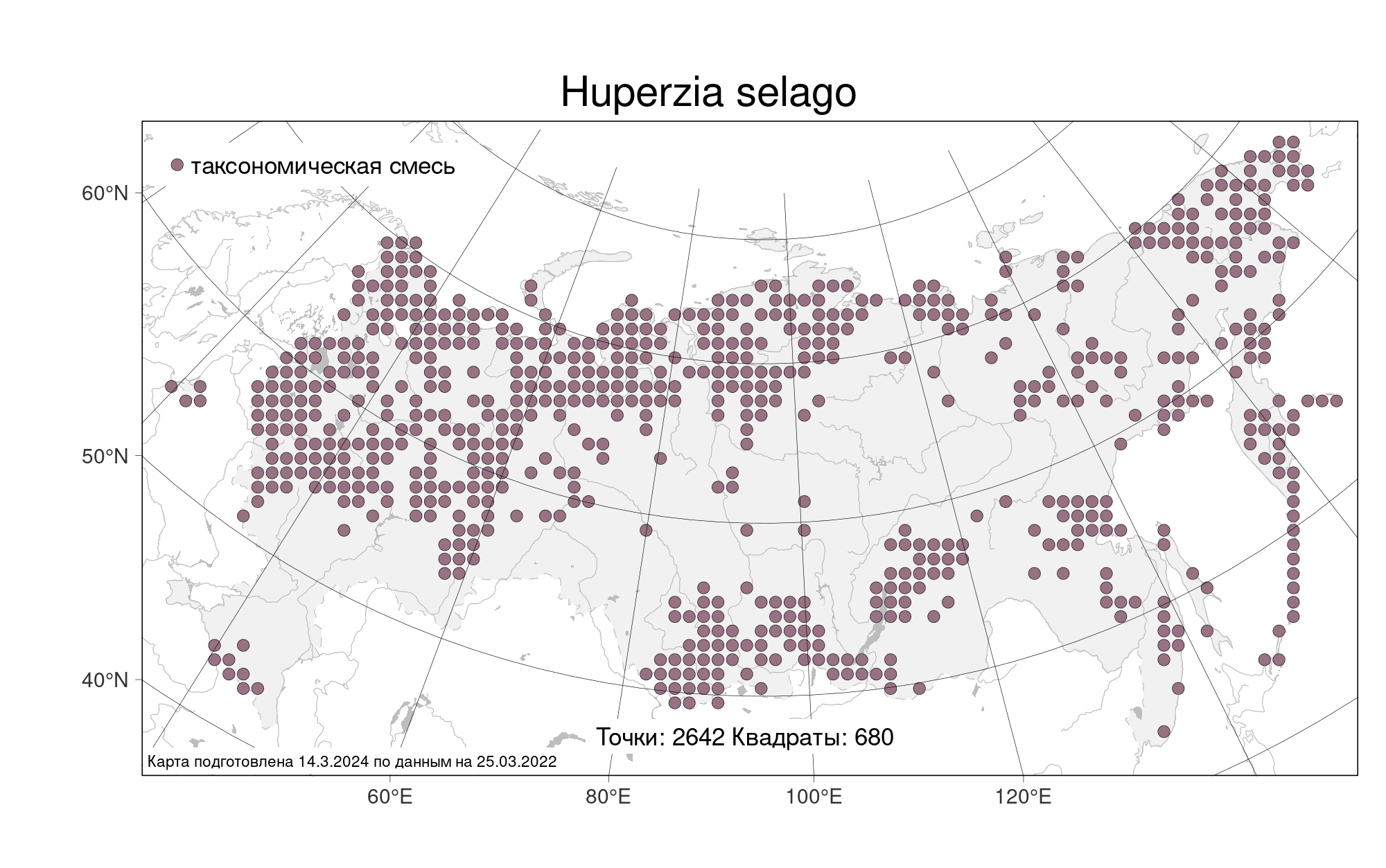 MW0223810, Huperzia selago (Баранец обыкновенный), specimen