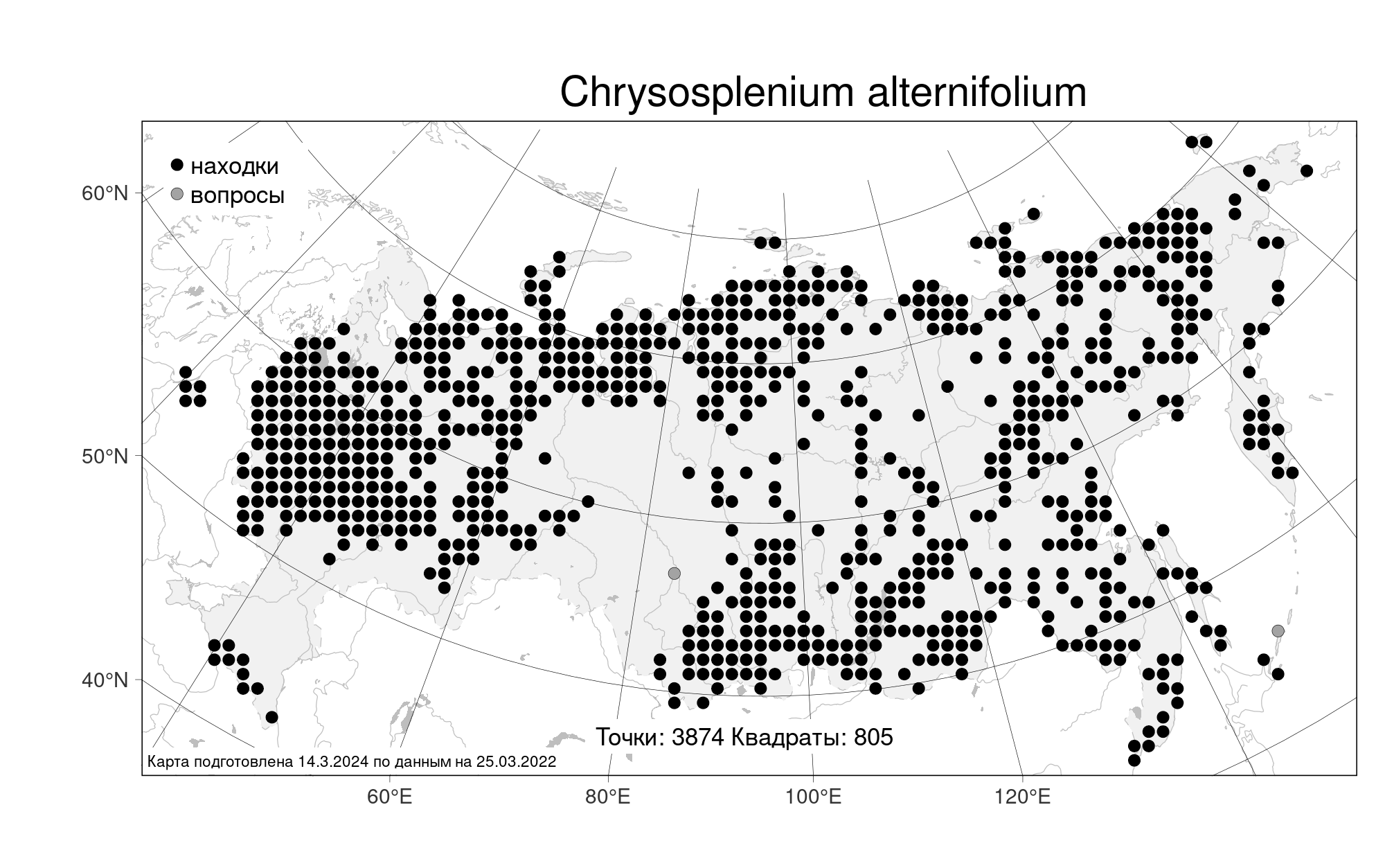 Селезеночник очереднолистный фото