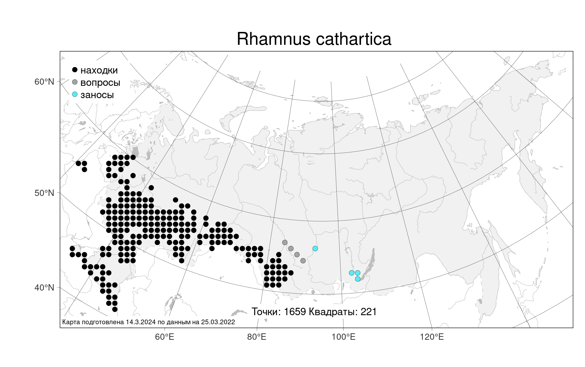 MW0618774, Rhamnus cathartica (Жестер слабительный, Крушина ...