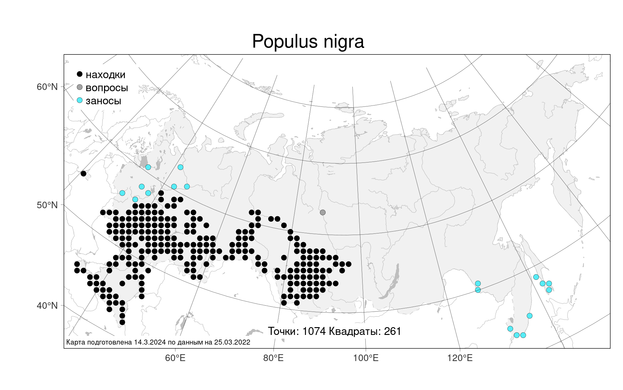 MW0659055, Populus nigra (Тополь черный, Осокорь), specimen
